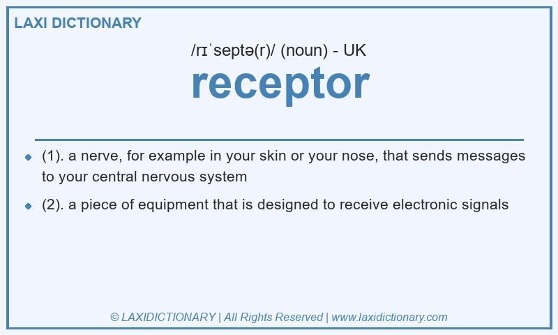 Definition receptor in British English