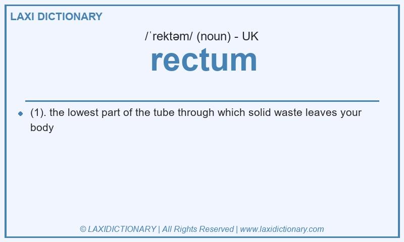 Definition rectum in British English