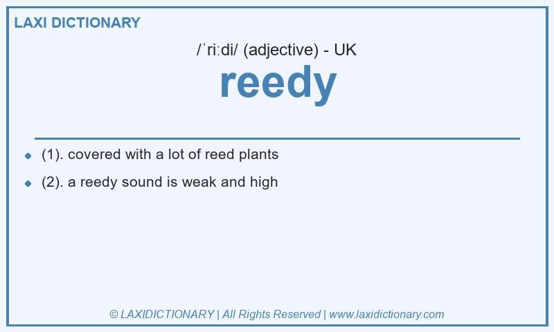 Definition reedy in British English