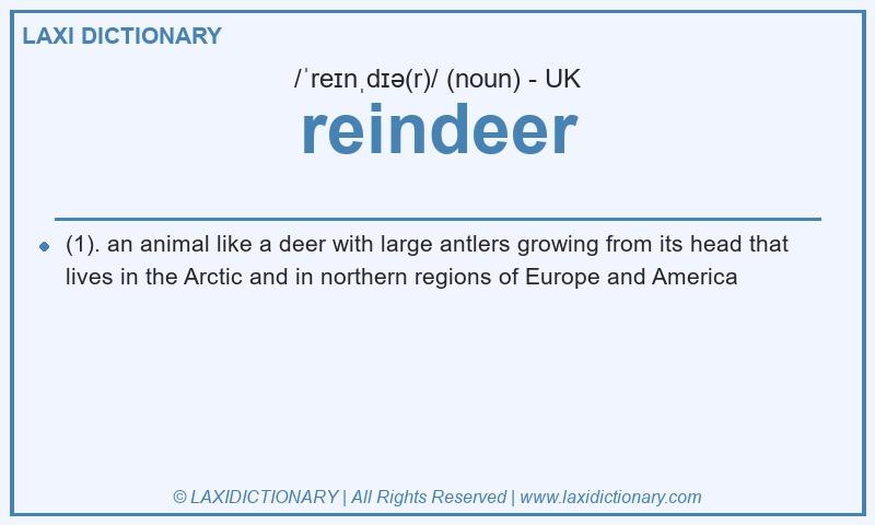 Definition reindeer in British English