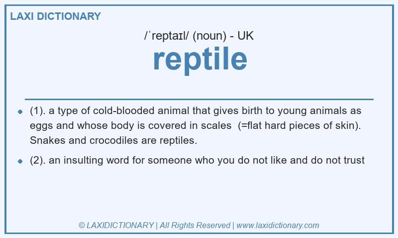 Definition reptile in British English
