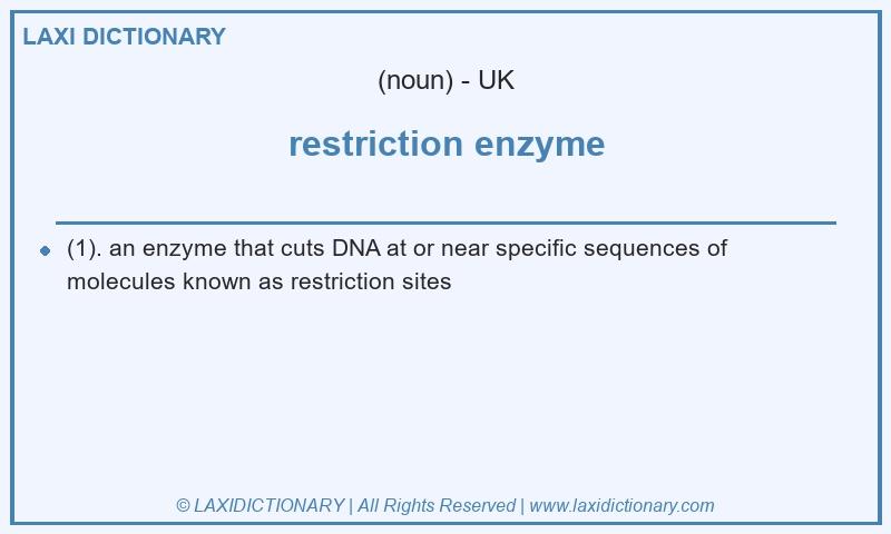 Definition restriction enzyme in British English