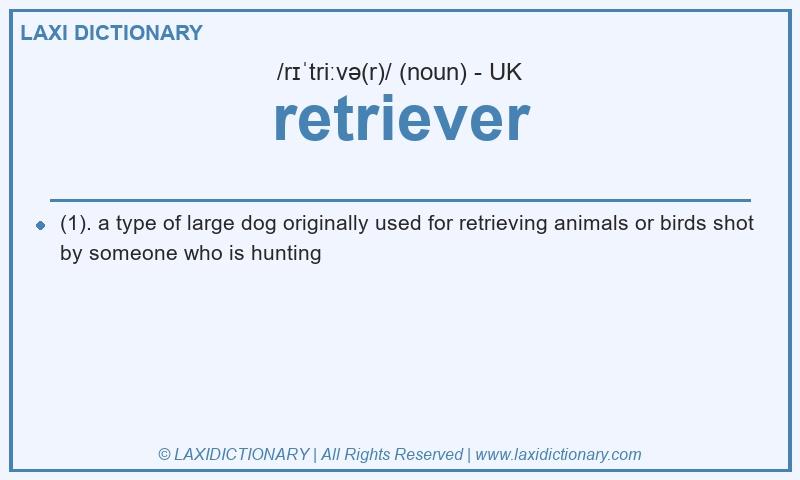 Definition retriever in British English