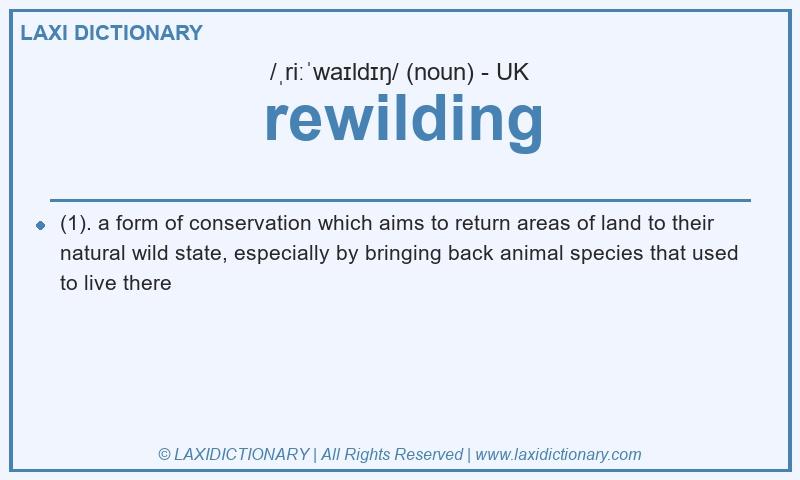 Definition rewilding in British English