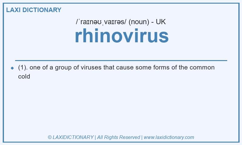 Definition rhinovirus in British English