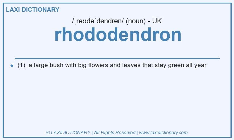 Definition rhododendron in British English