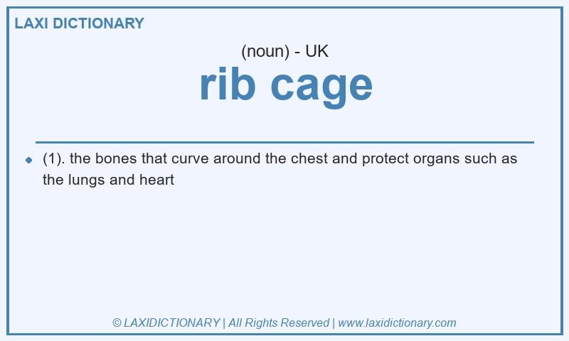 Definition rib cage in British English
