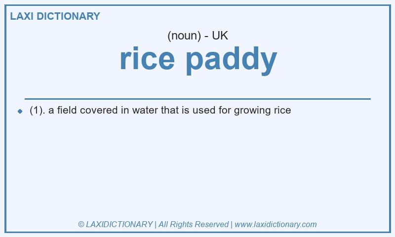 Definition rice paddy in British English