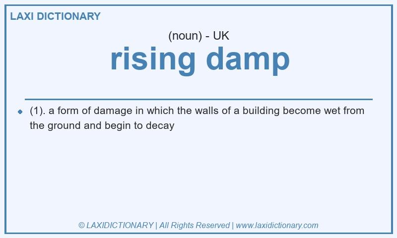 Definition rising damp in British English