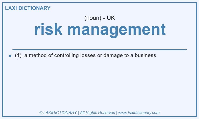 Definition risk management in British English