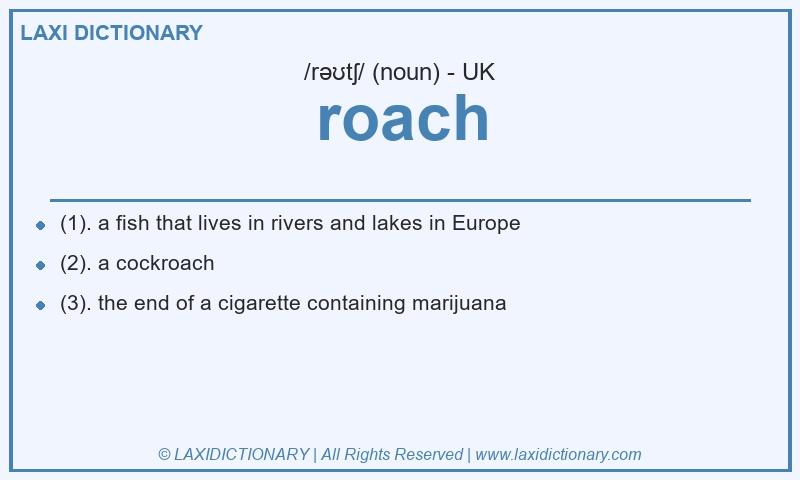 Definition roach in British English