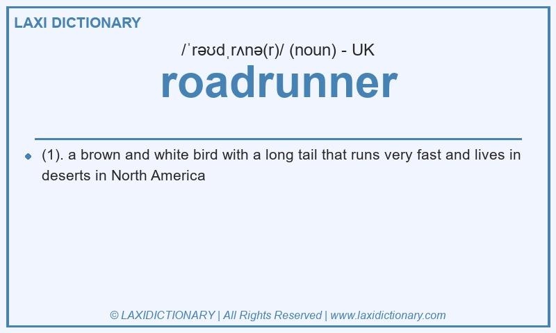 Definition roadrunner in British English