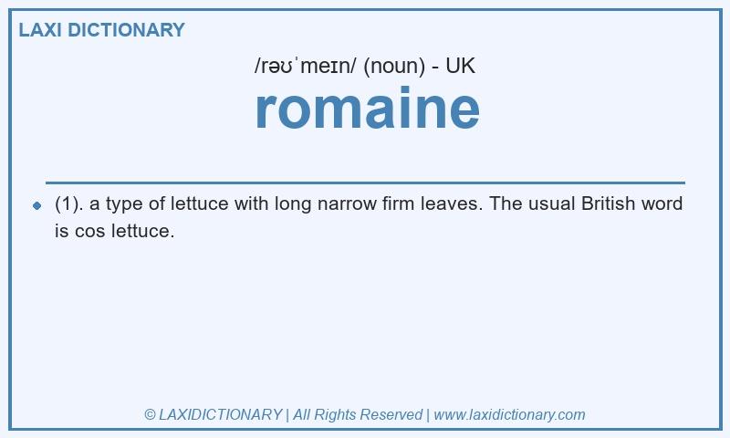Definition romaine in British English