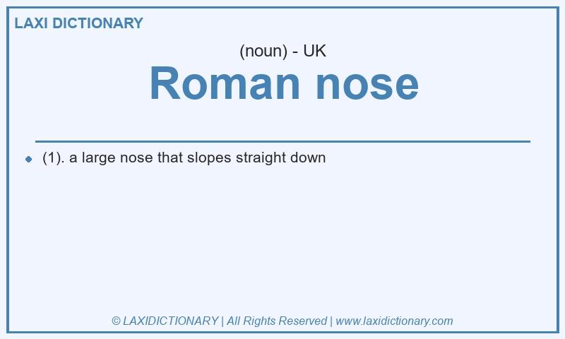 Definition Roman nose in British English