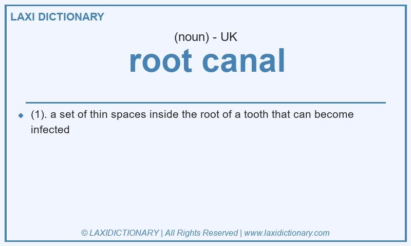 Definition root canal in British English