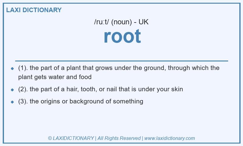 Definition root in British English