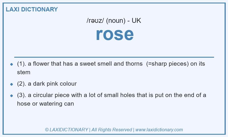 Definition rose in British English