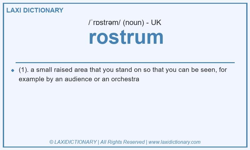Definition rostrum in British English