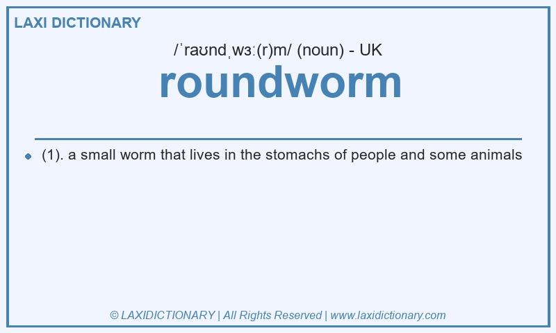 Definition roundworm in British English