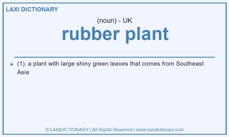 Definition rubber plant in British English