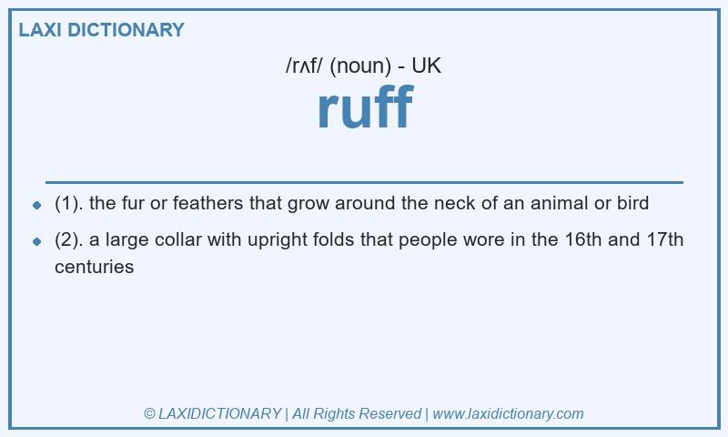 Definition ruff in British English