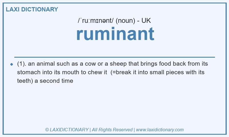 Definition ruminant in British English
