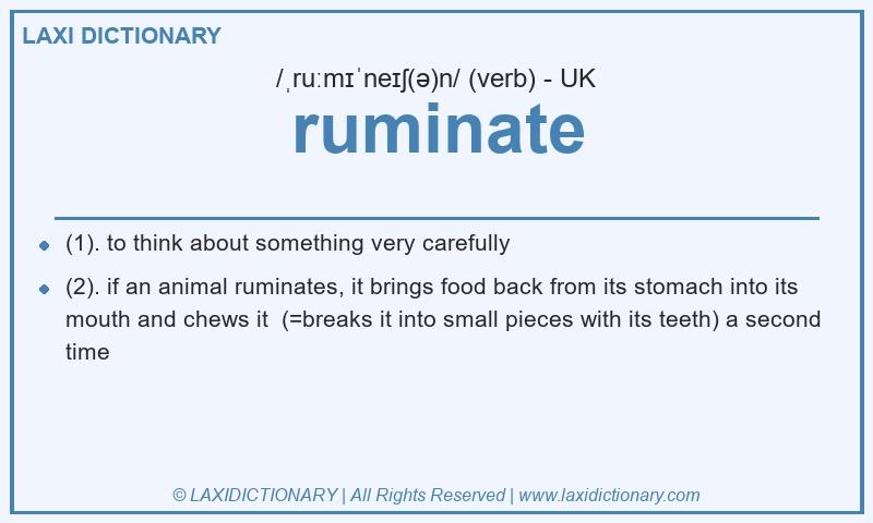 Definition ruminate in British English