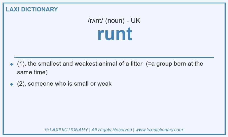 Definition runt in British English