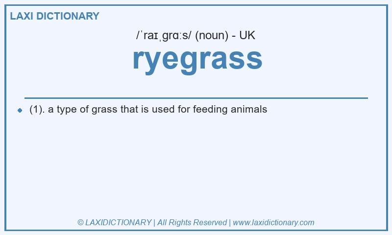 Definition ryegrass in British English