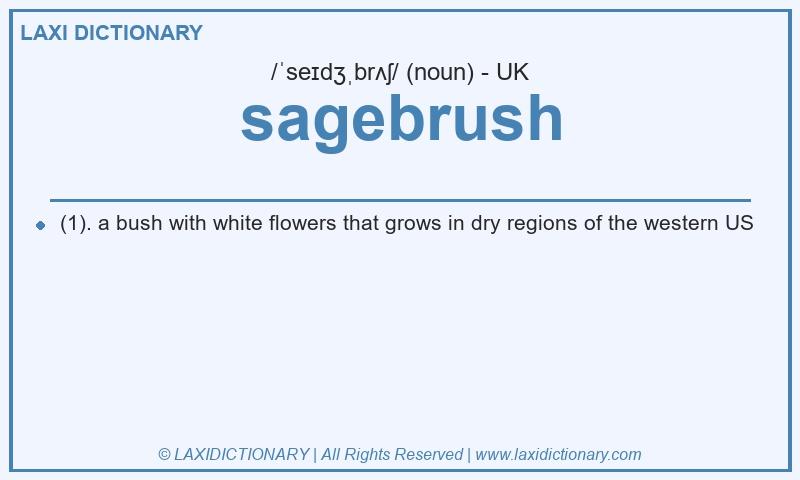 Definition sagebrush in British English