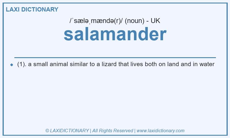 Definition salamander in British English