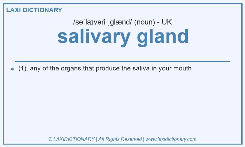 Definition salivary gland in British English