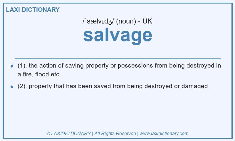 Definition salvage in British English