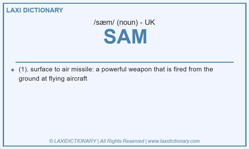 Definition SAM in British English