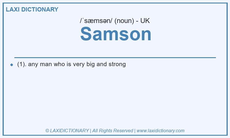 Definition Samson in British English