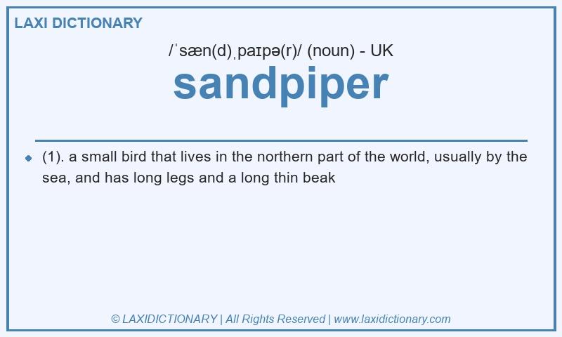 Definition sandpiper in British English