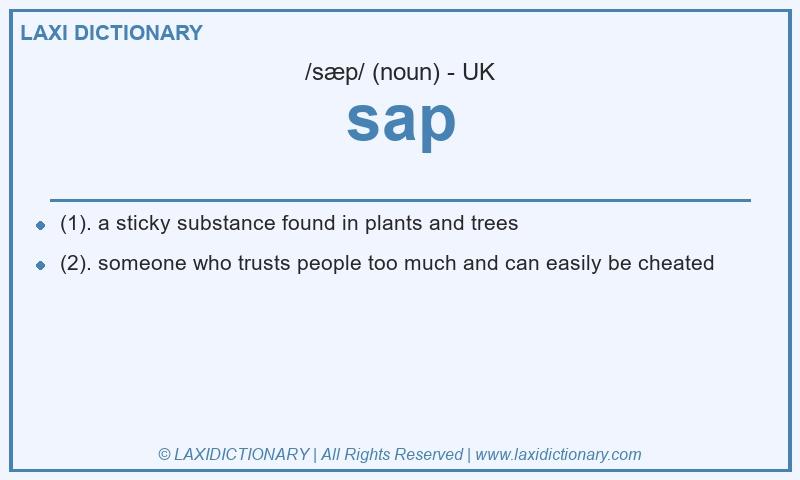 Definition sap in British English