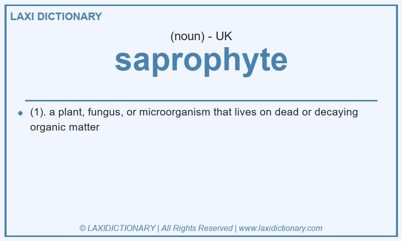 Definition saprophyte in British English