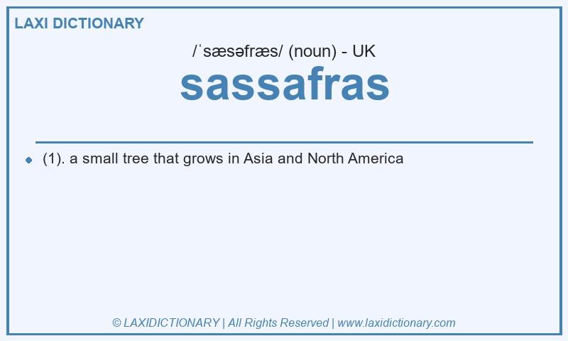 Definition sassafras in British English