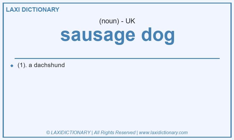 Definition sausage dog in British English