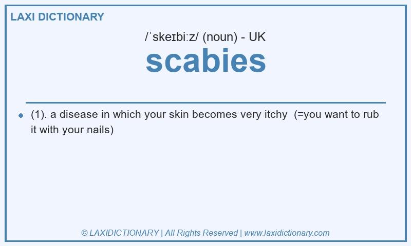 Definition scabies in British English