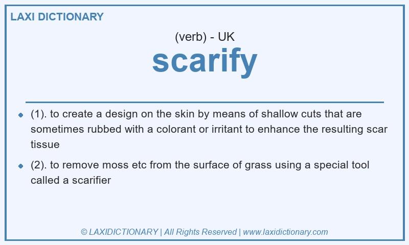 Definition scarify in British English