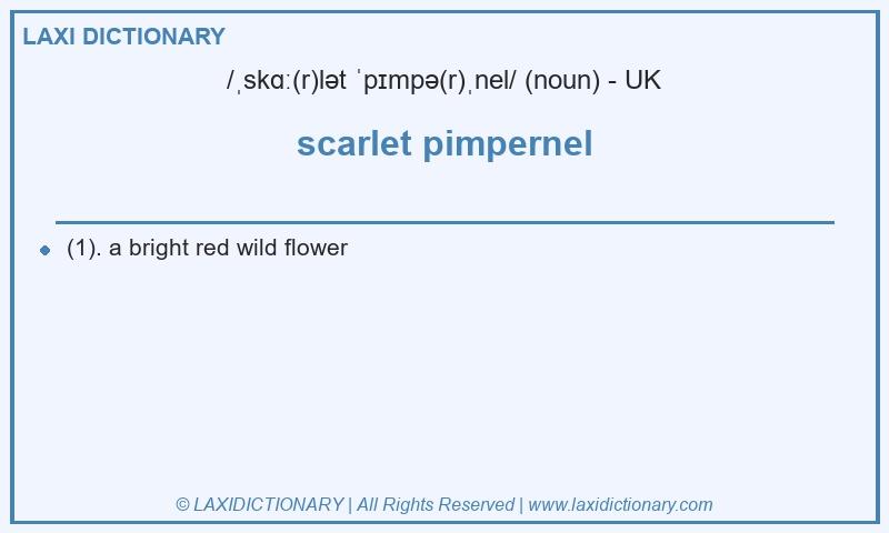 Definition scarlet pimpernel in British English