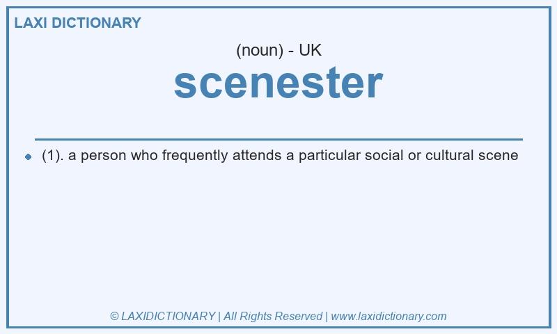 Definition scenester in British English