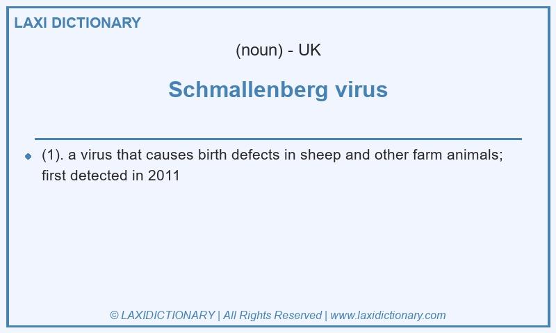 Definition Schmallenberg virus in British English