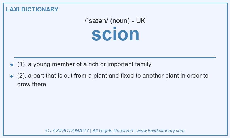 Definition scion in British English