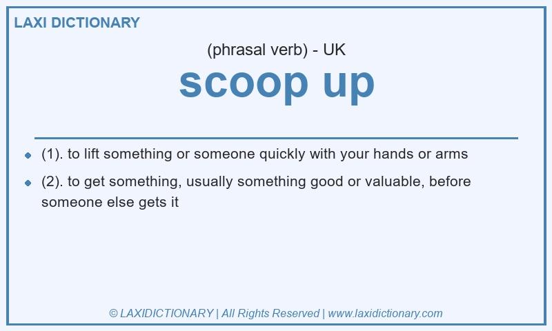 Definition scoop up in British English