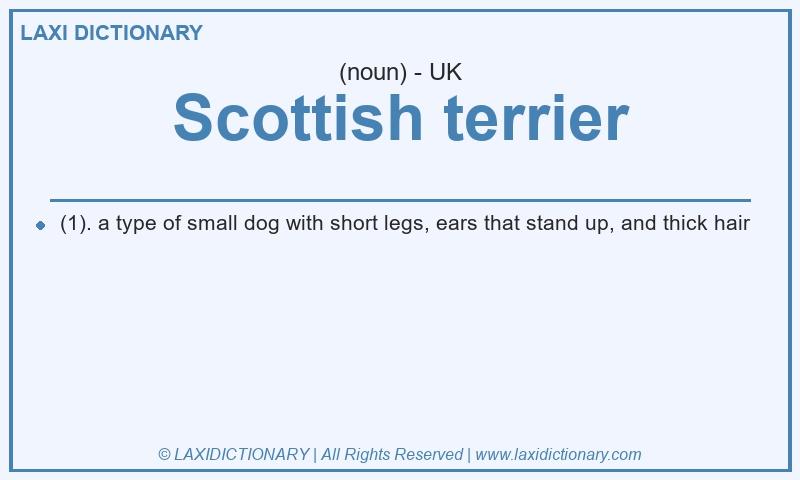 Definition Scottish terrier in British English