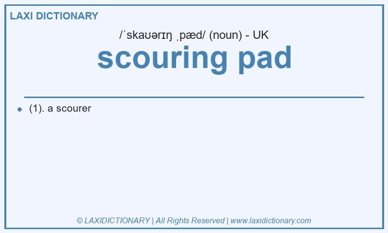 Definition scouring pad in British English