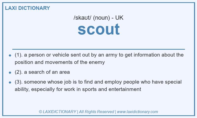 Definition scout in British English